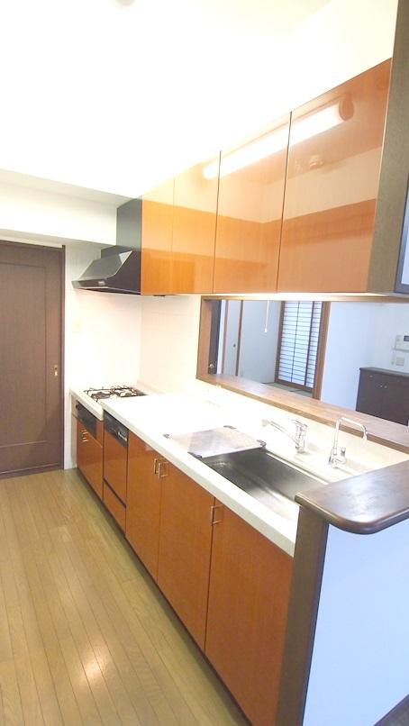 Kitchen. Indoor (12 May 2013) Shooting