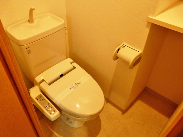 Toilet. Toilet (with washlet)