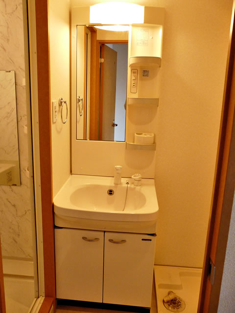Washroom. Bathroom vanity