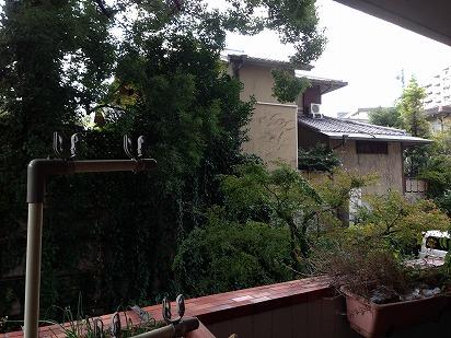 View photos from the dwelling unit. View taken from the local