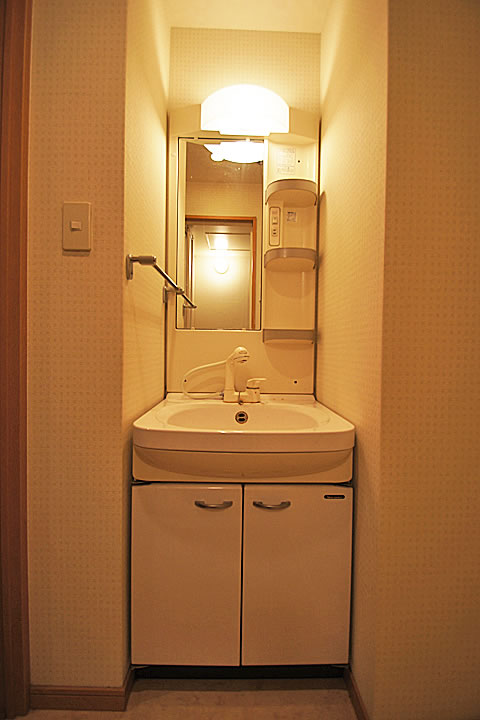 Washroom. Shampoo dresser
