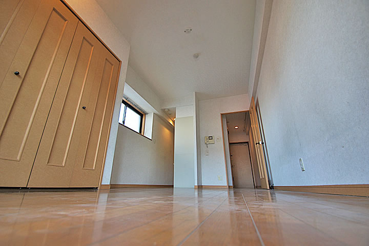 Living and room. Room (two-sided lighting)