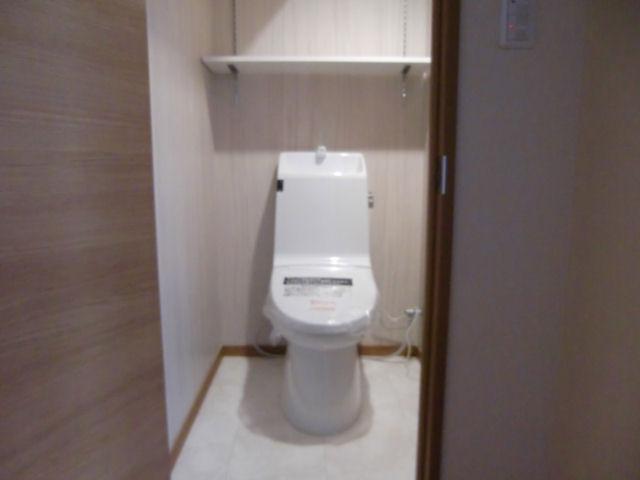 Toilet. Indoor (September 2012) shooting