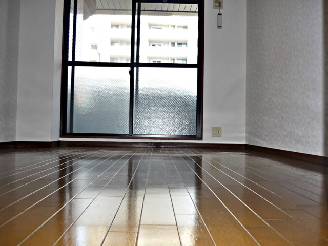 Living and room. Interior