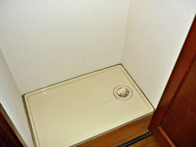 Other room space. Washing machine in the room