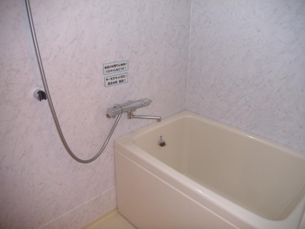 Bathroom. Indoor (11 May 2013) Shooting