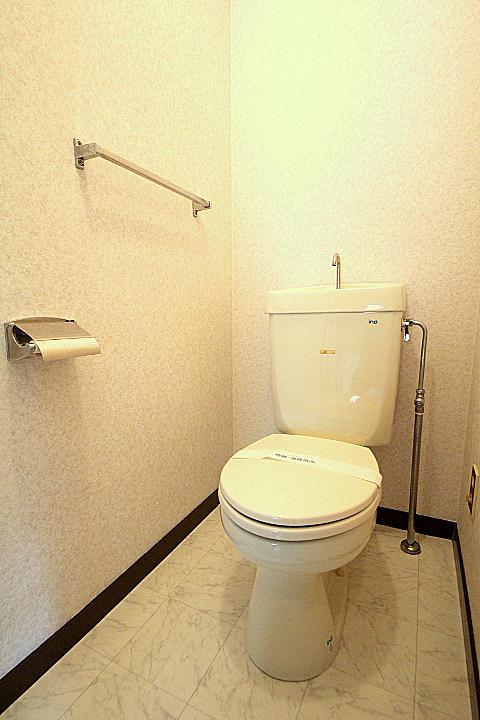 Toilet. Local (12 May 2013) Shooting