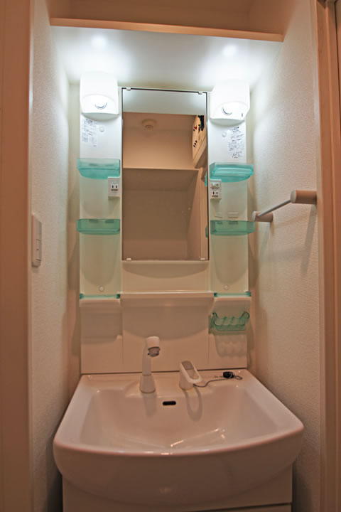 Washroom. Shampoo dresser