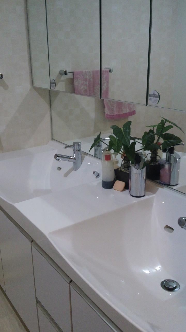 Wash basin, toilet. Convenient 2 barreled