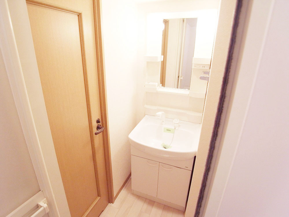 Washroom. Shampoo dresser