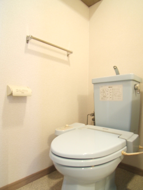 Toilet. With shelf