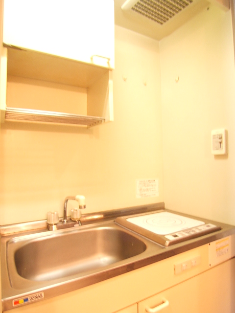 Kitchen. IH with stove