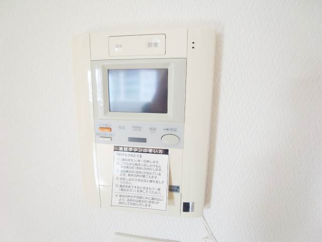 Security. TV monitor phone