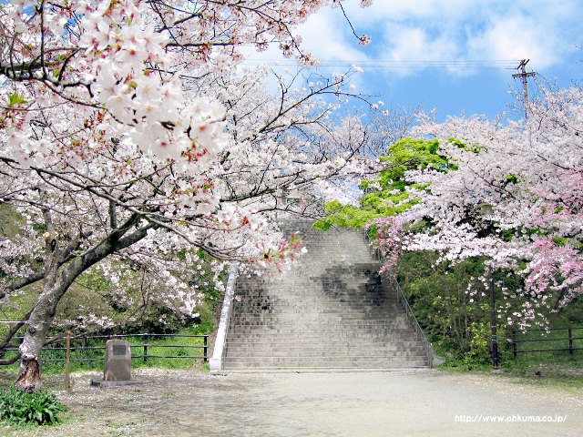 park. 800m to Nishi (park)