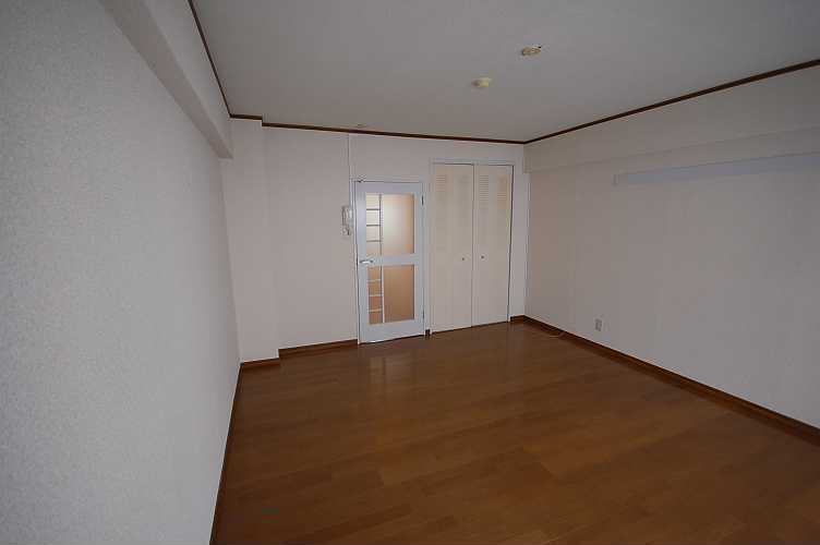 Living and room. It will put even bed and sofa! 