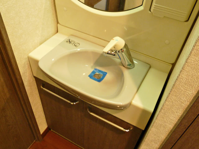 Washroom. Bathroom vanity