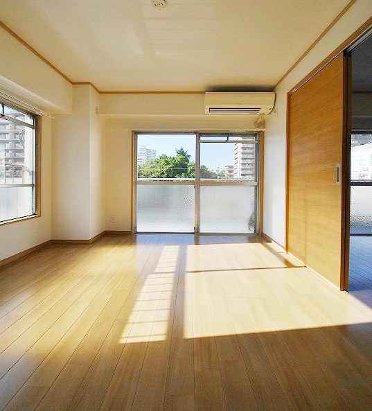 Other room space. It is a corner room