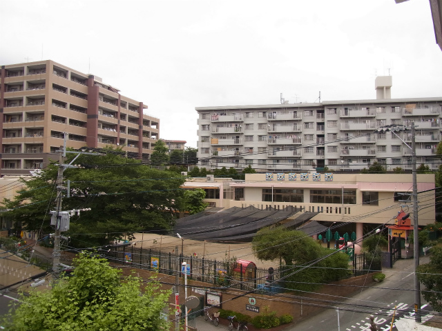 kindergarten ・ Nursery. Wild Rose nursery school (kindergarten ・ 215m to the nursery)