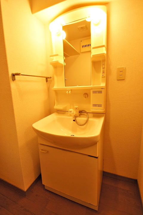 Washroom. Shampoo dresser