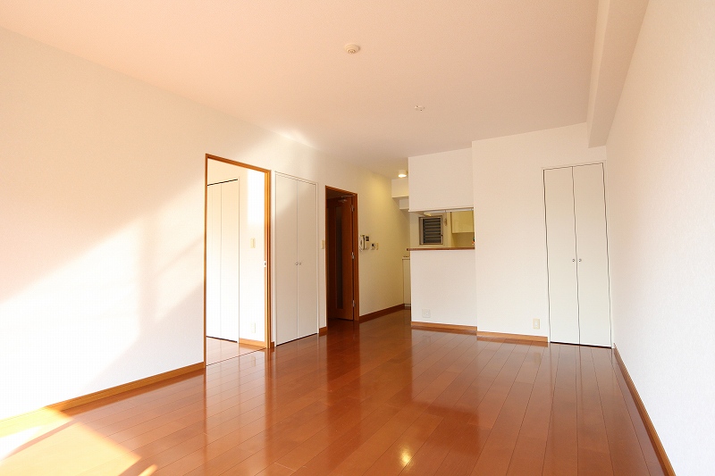 Living and room. Living