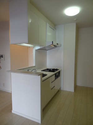 Kitchen. System kitchen