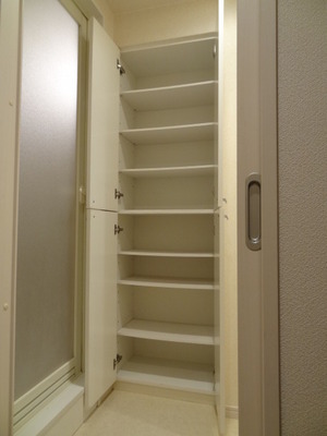 Washroom. Basin storage