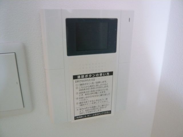 Security. Monitor phone