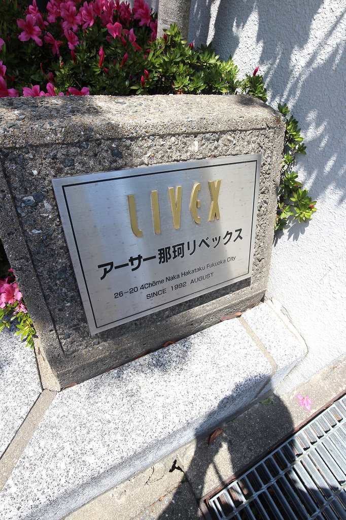 Building appearance. appearance