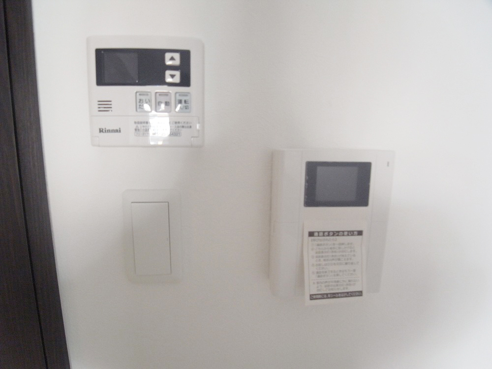 Security. TV monitor phone