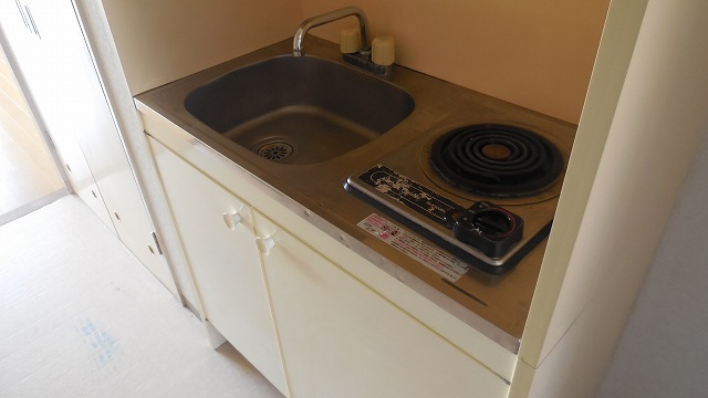 Kitchen. Stove kitchen