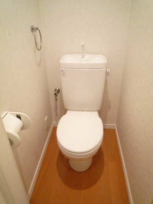 Toilet. Toilet