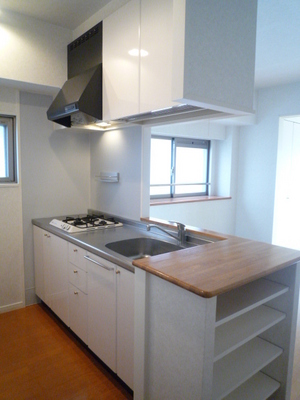 Kitchen. Counter Kitchen