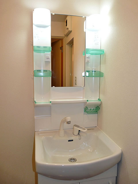 Washroom. Shampoo dresser