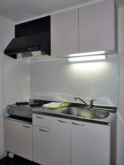 Kitchen. Gas stove with 2-neck