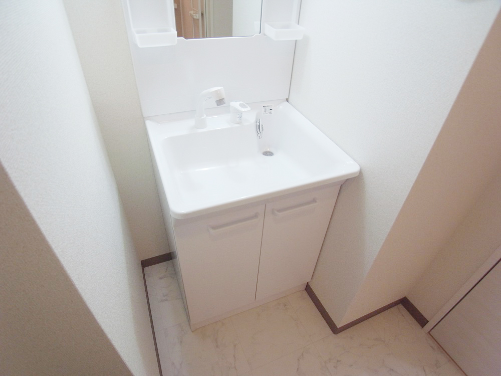 Washroom. Shampoo dresser