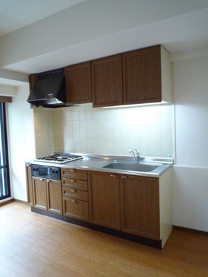 Kitchen. System kitchen