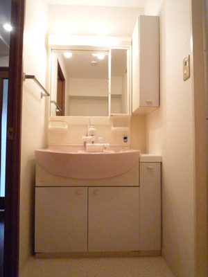 Washroom. Wash basin