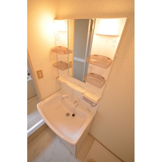 Washroom. Wash basin