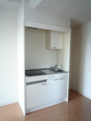 Kitchen. System kitchen