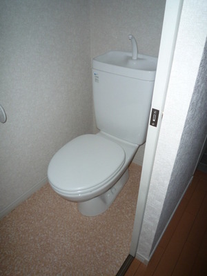 Toilet. Toilet