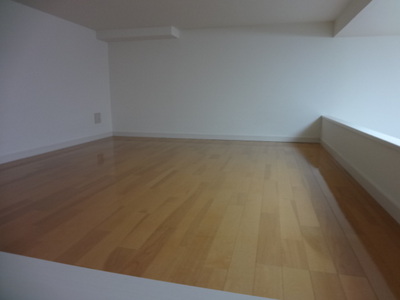 Living and room. loft