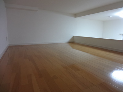 Living and room. loft