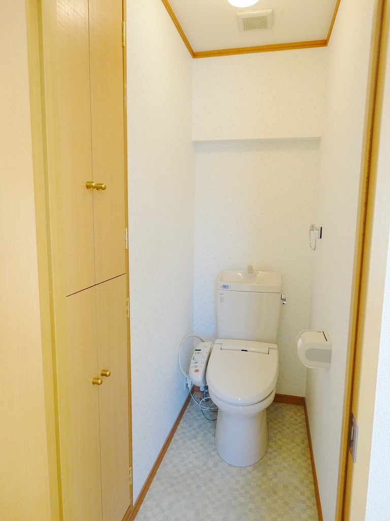 Toilet. Warm water washing toilet seat and with storage of toilet