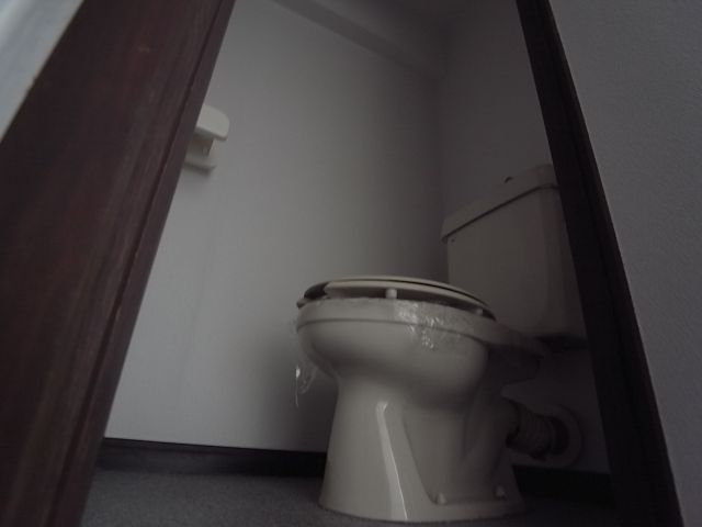 Toilet. Toilet