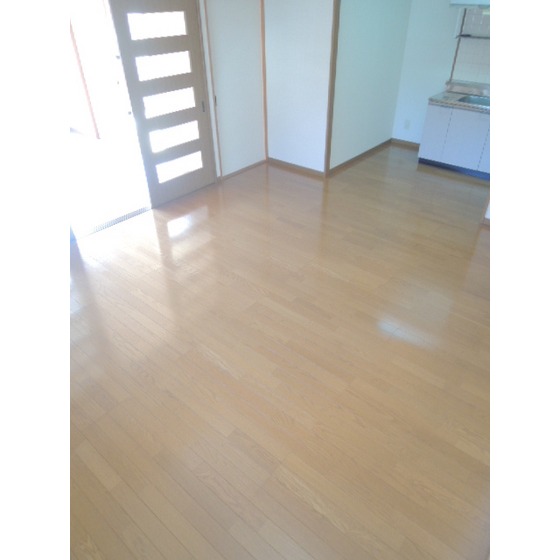 Living and room. Living