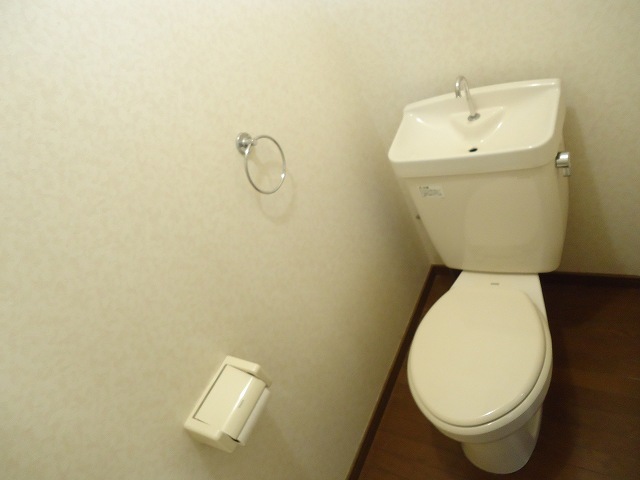 Other room space. Toilet with cleanliness