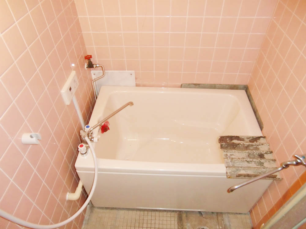 Bath. In the interior!