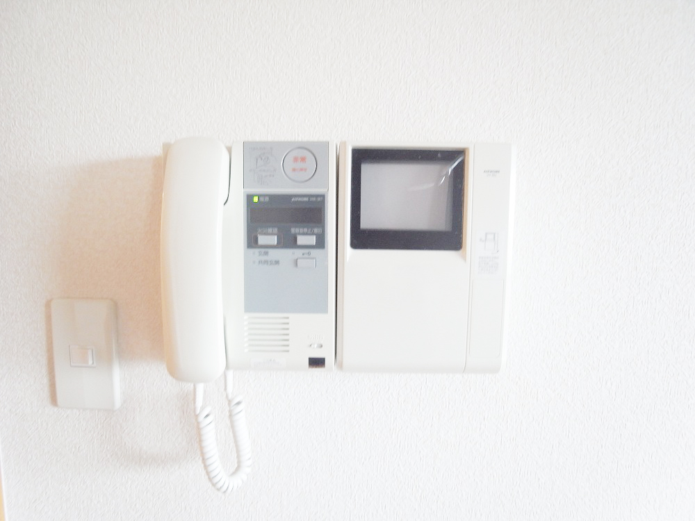 Security. TV monitor phone