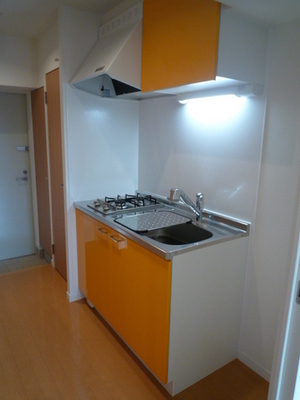 Kitchen. System kitchen