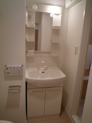 Washroom. Wash basin